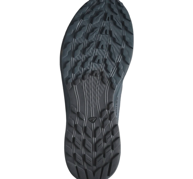Кросівки Salomon Sense Ride 5 SR Синій