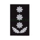 Погон Поліція Полковник