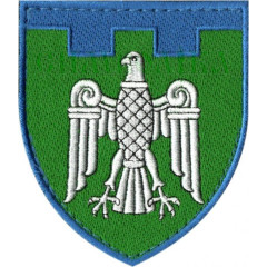 107 окрема бригада ТрО (Чернівецька обл) / кол / нарукавна емблема
