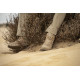 Черевики Lowa Zephyr GTX MID MK2 - Desert