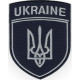 Ukraine (Укрзалізниця) / тк.темно-синя / сіра / Нарукавна емблема