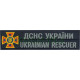 ДСНС України сірий Нагрудний знак !