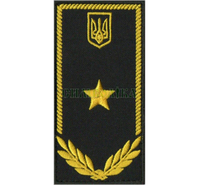 Погони митної служби на футболку поло / радник 3 рангу