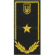 Погони митної служби на футболку поло / радник 3 рангу