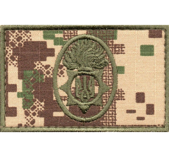 Національна Гвардія України(прямокутна 80на50мм)\зах\тк.хижак(G0822)\кокарда
